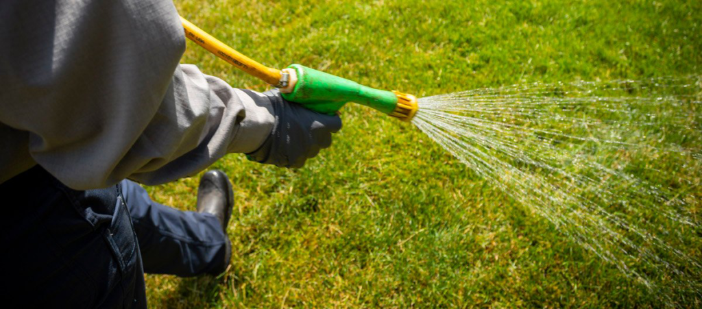 Get Healthy Green Grass with Aeration! – Green Blade